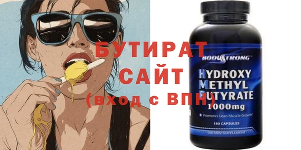 индика Новодвинск