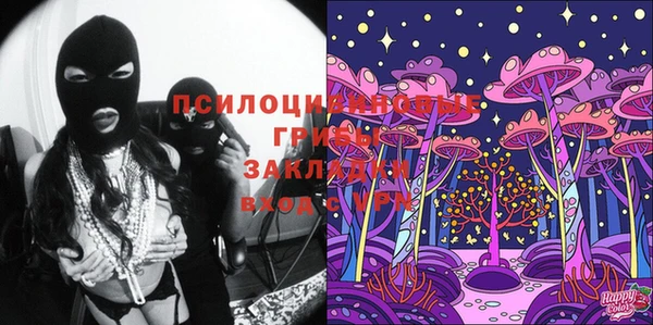 метадон Тавда