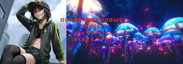 индика Новодвинск