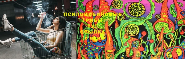 дживик Новокубанск
