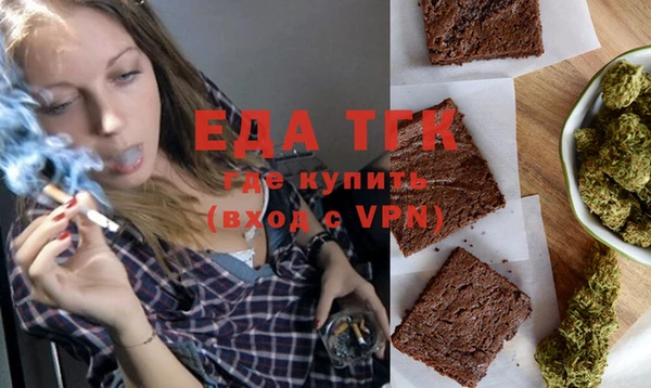 индика Новодвинск