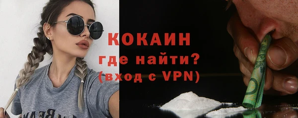 индика Новодвинск
