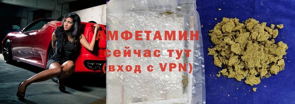 индика Новодвинск