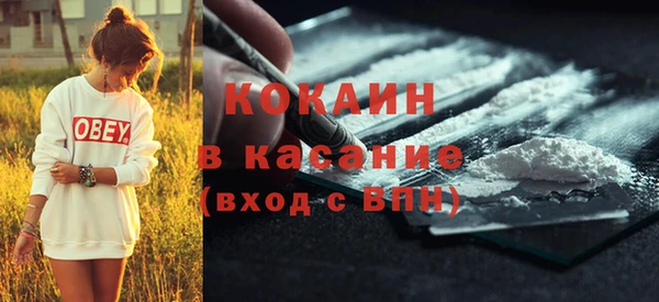 сатива Ахтубинск