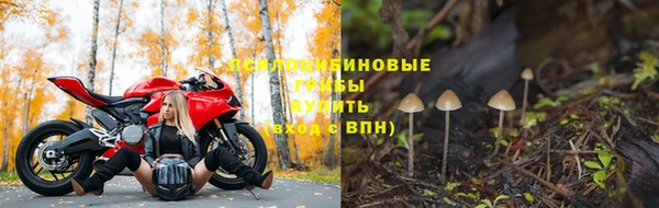 бутират Новозыбков