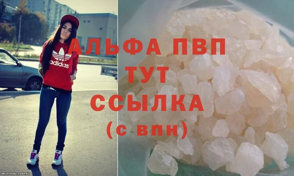 индика Володарск