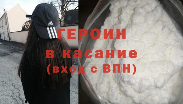 индика Новодвинск