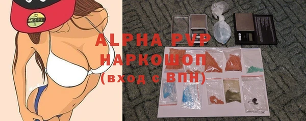 индика Новодвинск