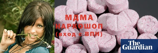 индика Новодвинск
