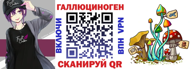 где продают наркотики Мытищи Галлюциногенные грибы мухоморы