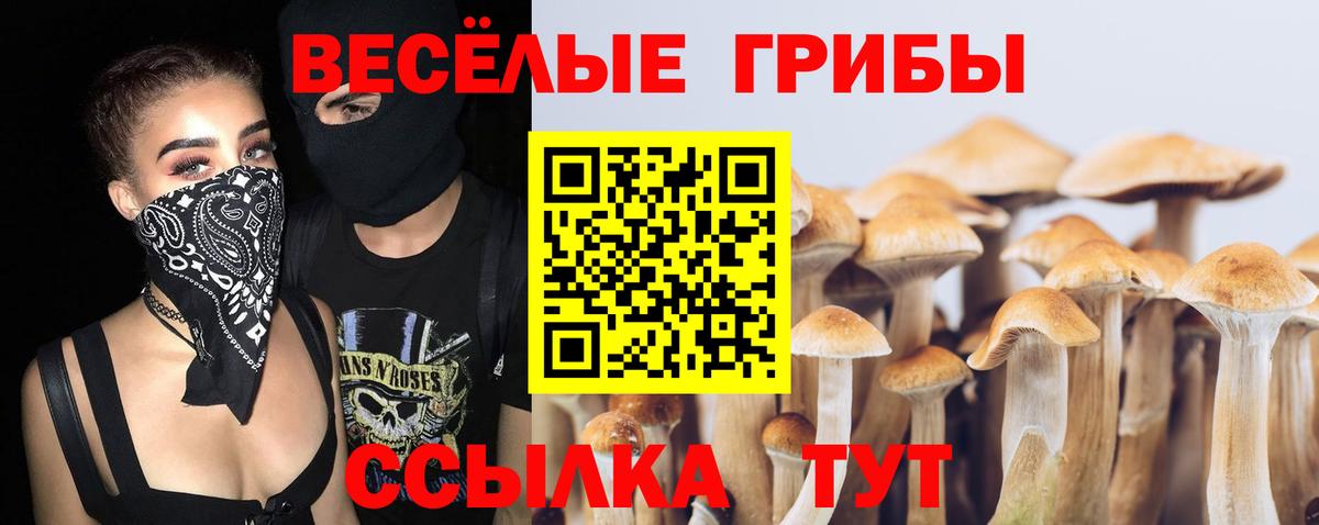 Галлюциногенные грибы Cubensis Мытищи